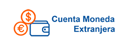 Cuenta Moneda Extranjera